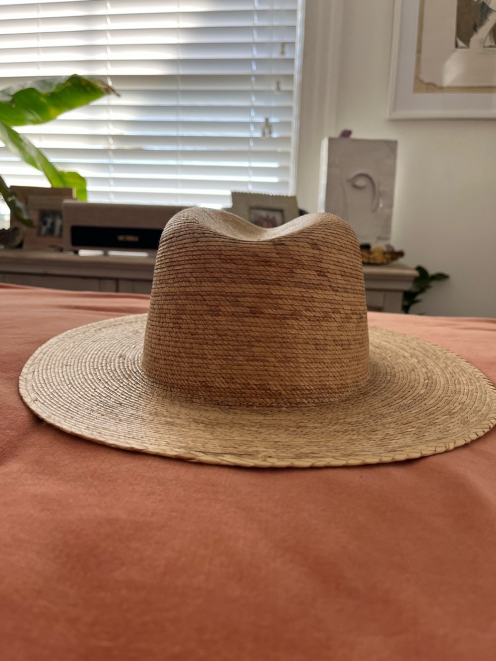 Lack Of Color Straw Palma Fedora Hat
